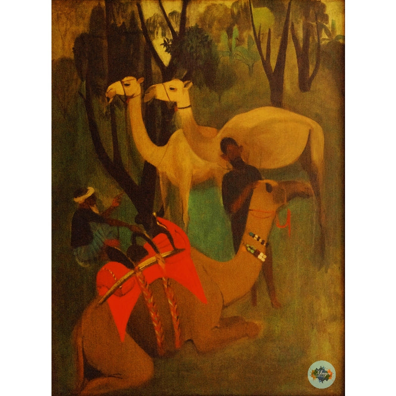 Camels