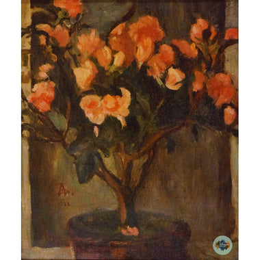 Potted plant in blossom