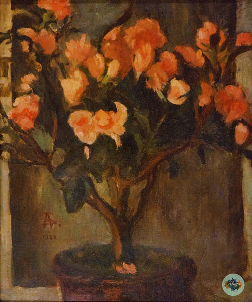 Potted plant in blossom